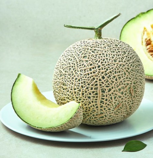 14. 가온누리 머스크 멜론 1.6kg